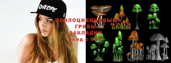 мяу мяу мука Аркадак