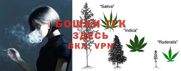 соль ск Арсеньев