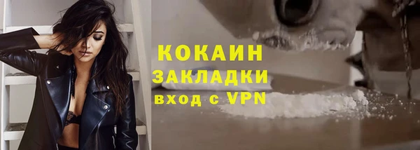 соль ск Арсеньев