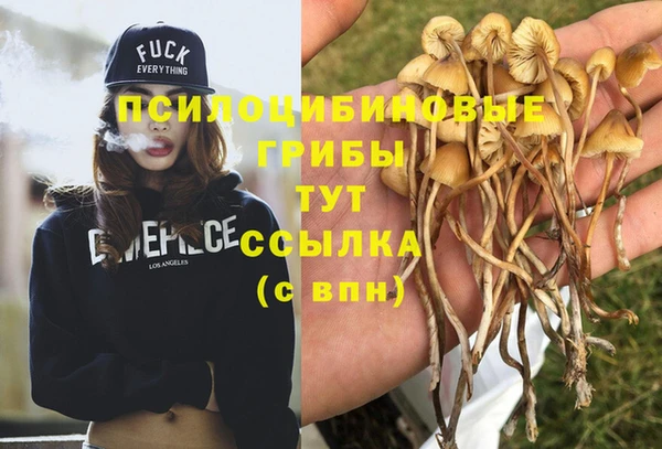 соль ск Арсеньев