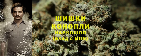 соль ск Арсеньев