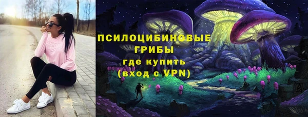 соль ск Арсеньев