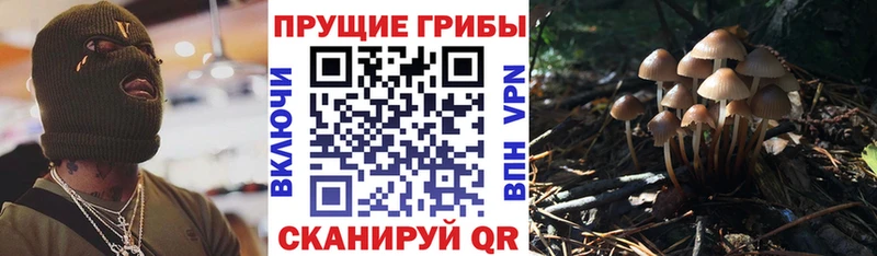 Галлюциногенные грибы мухоморы  Похвистнево 